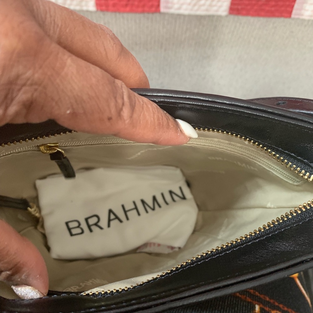 Brahmin - Picture 2 of 3